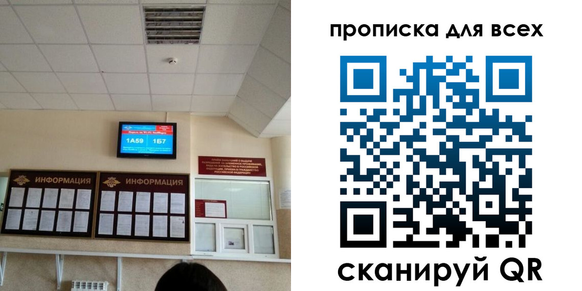 прописка в Звенигово